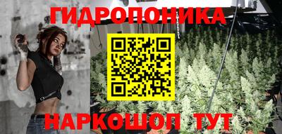 mix Будённовск
