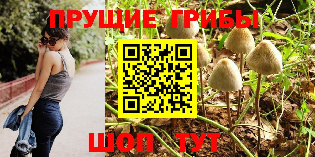 Псилоцибиновые грибы мухоморы  Вход с VPN  Истра 
